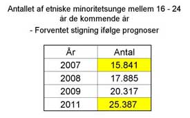 Kilde: Danmarks Statistik / Integrationsministeriet